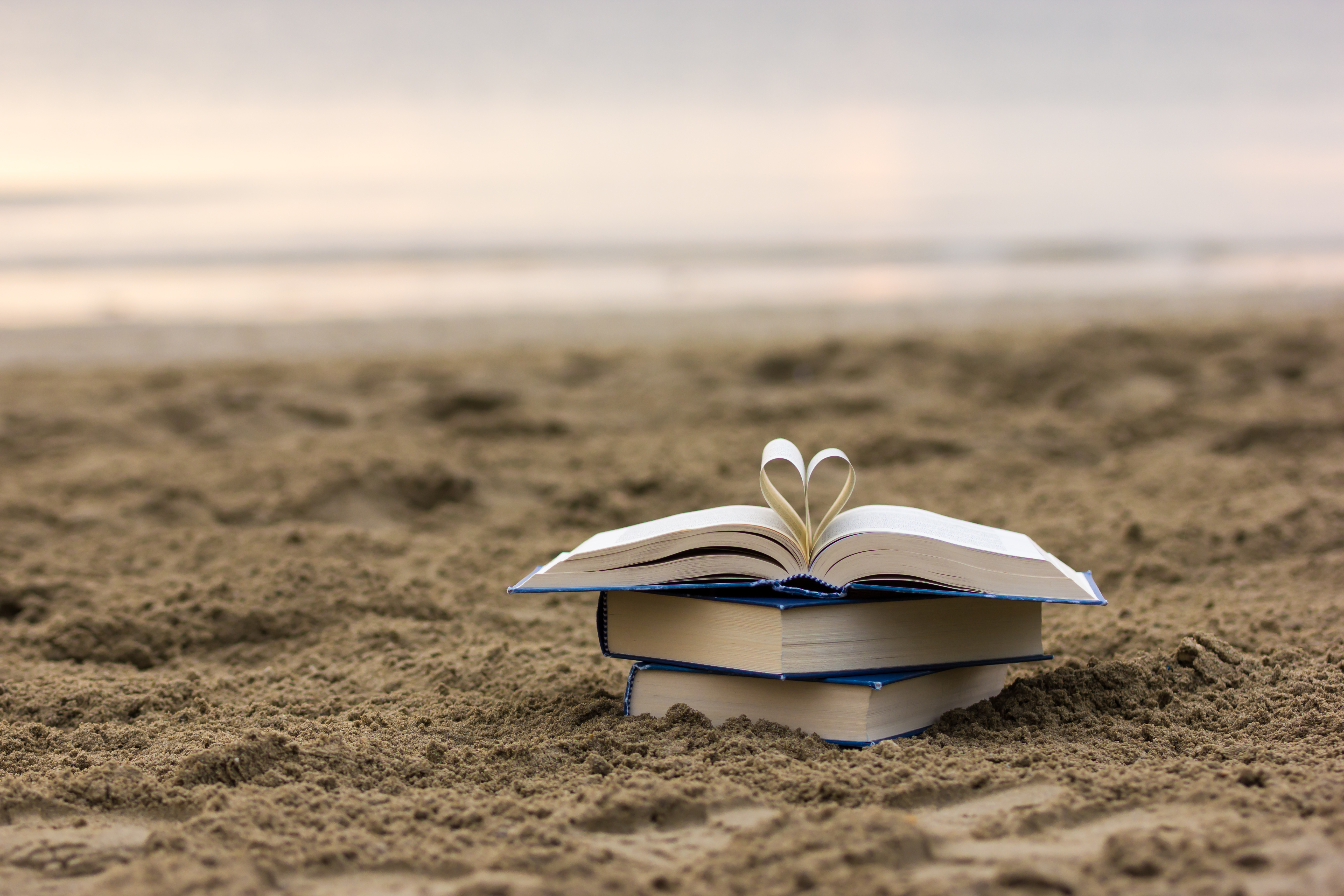 Our 4 Favorite Travel Books – HotelsByDay