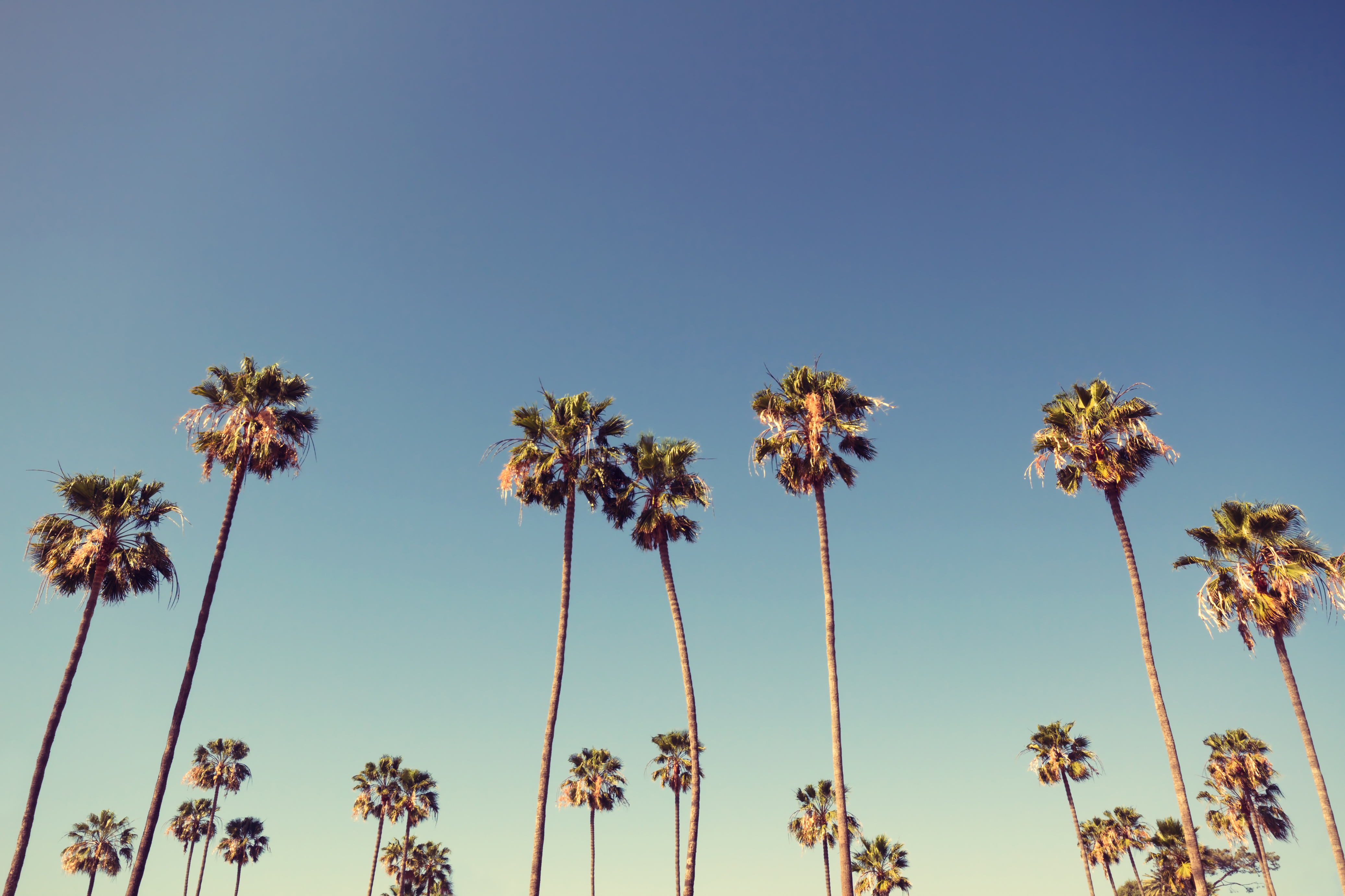 An Insider’s Guide to a Day Trip in Los Angeles