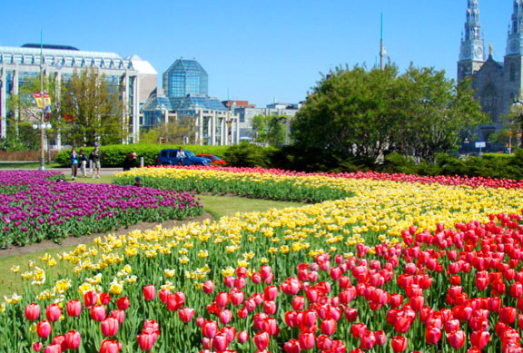 6 Ottawa Day Trips for the Whole Family