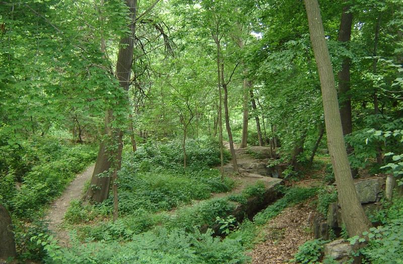 Gardens