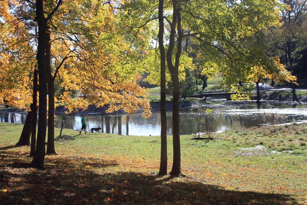 shelby_park_nashville_02