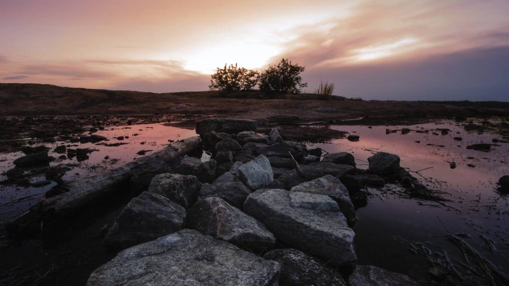 Pinkish hue falls on the granite rocks of Arabia Mountain at sunset. 