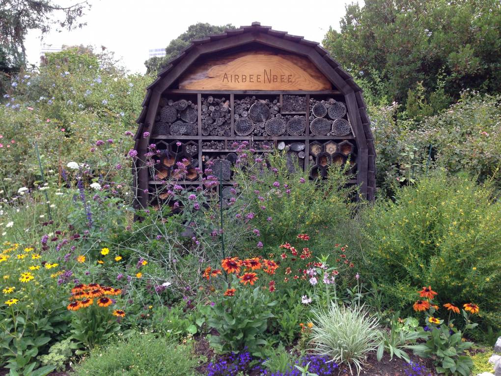 A bee hotel in The Gardens at Lake Merrit. 