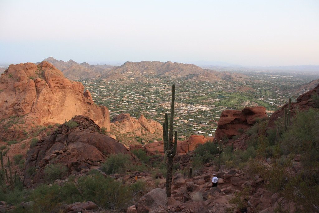 View of Phoenix from atop Camelback Mountain, with lone cactus and man in closer view. 