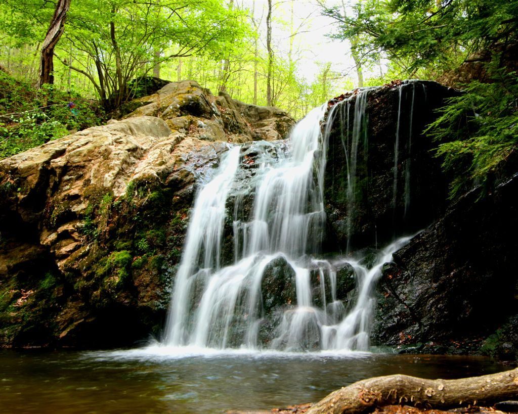 Waterfalls in lush part of Cascade Falls Trail in Patapsco Valley State Park, Baltimore.  
