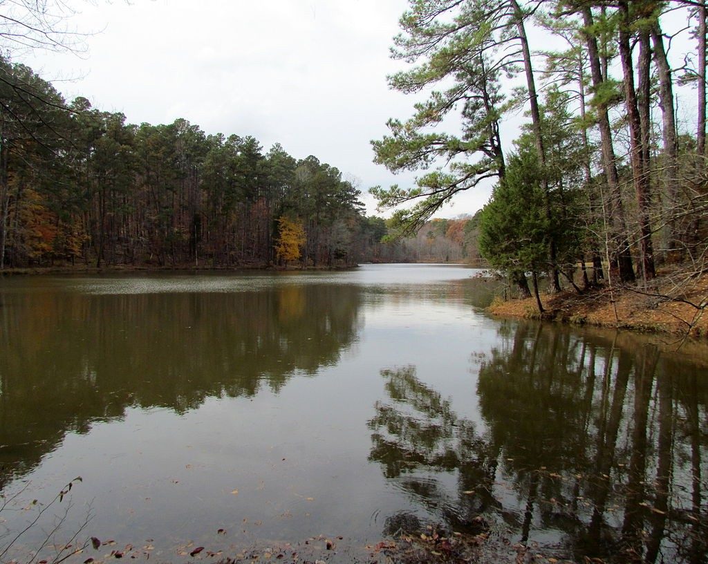View of Sycamore Lake, along Sycamore Trail in William Umstead Park in Raleigh, North Carolina.